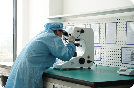 Technical Consulting Services