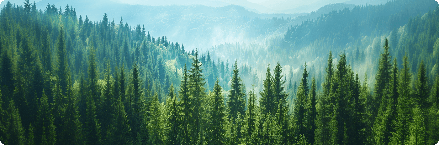 Dedicated New Energy ESG Practice: